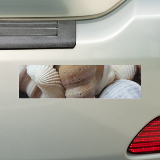 Romantische tropische exotische Muscheln Strand Li Autoaufkleber (Auf Auto)