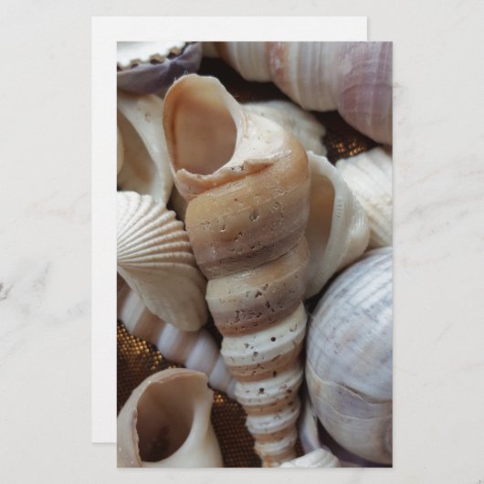 Romantische tropische exotische Muscheln Strand Li Briefpapier (Vorne/Hinten)