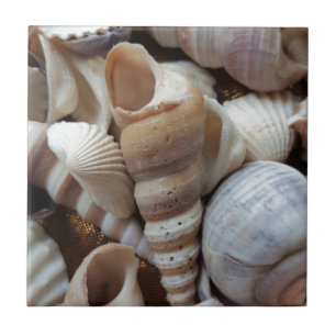 Romantische tropische exotische Muscheln Strand Li Fliese