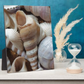 Romantische tropische exotische Muscheln Strand Li Fotoplatte (Seite)