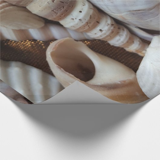 Romantische tropische exotische Muscheln Strand Li Geschenkpapier (Ecke)