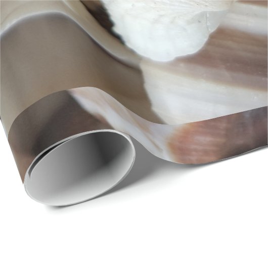 Romantische tropische exotische Muscheln Strand Li Geschenkpapier (Rolleneckpunkt)