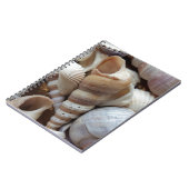 Romantische tropische exotische Muscheln Strand Li Notizblock (Linke Seite)