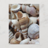 Romantische tropische exotische Muscheln Strand Li Postkarte (Vorderseite)