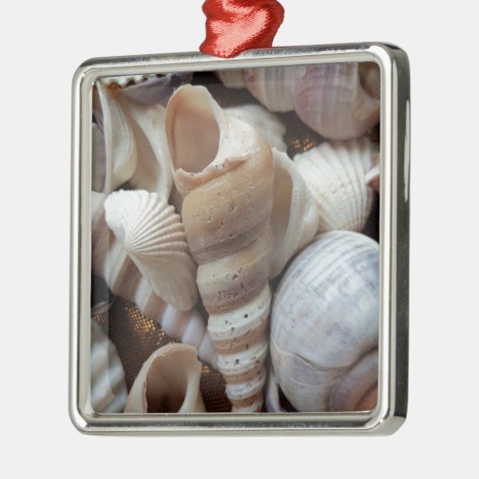 Romantische tropische exotische Muscheln Strand Li Silbernes Ornament (Links)