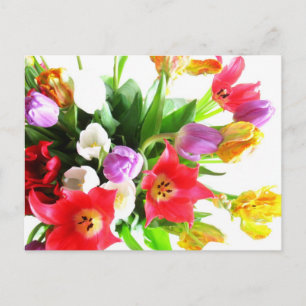 Romantische Tulip-Blume Postkarte