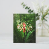 Romantische Vintage Lilie der roten Spinne Postkarte (Stehend Vorderseite)