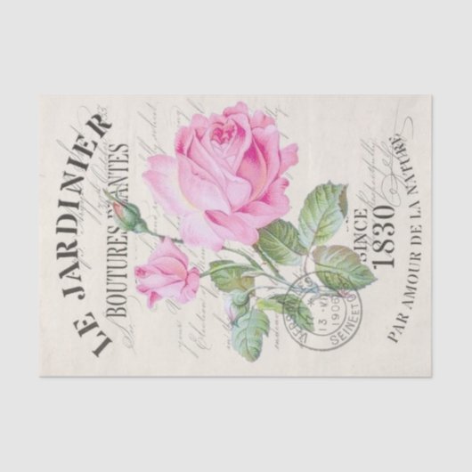 Romantische Vintage Pink Peony Blume Seidenpapier (Vorderseite)