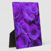 Romantische violette lila Rose, hübscher Rosenbuke Fotoplatte (Seite)