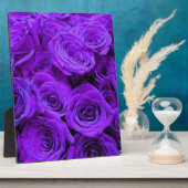 Romantische violette lila Rose, hübscher Rosenbuke Fotoplatte (Seite)