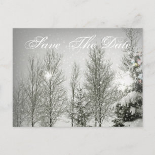 Romantische Waldbäume Winter Hochzeit Save the Dat Ankündigungspostkarte