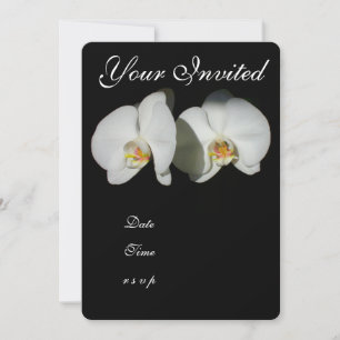 Romantische weiße Orchideen, tropisches Blumenfoto Einladung