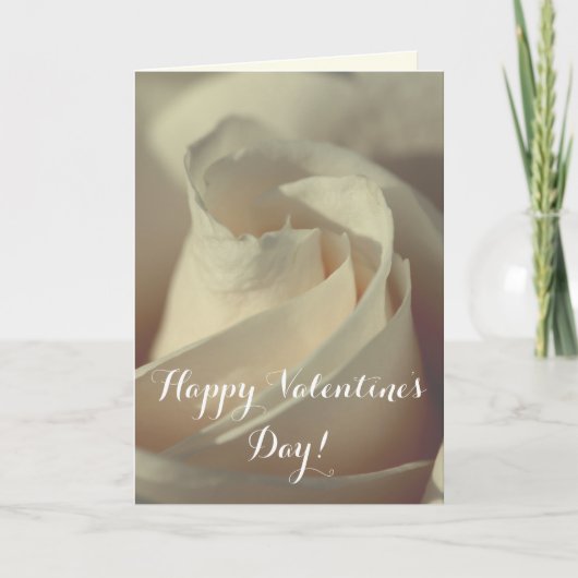 Romantische Weißrose Feiertagskarte (Vorderseite)