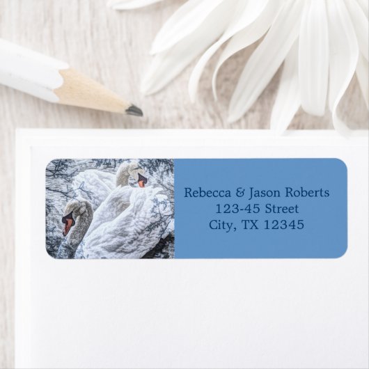 romantische Wintermesse Weißschwan (Insitu)