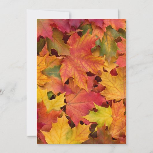 Romantischer Fall in der Liebe Hochzeitseinladung Einladung (Rückseite)