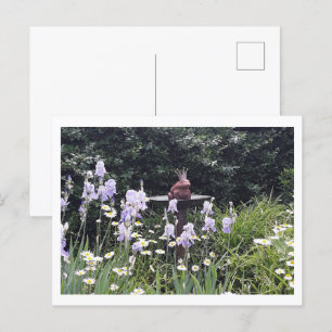 Romantischer Froschprinz und Blume Postkarte