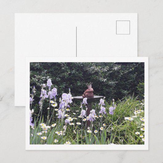Romantischer Froschprinz und Blume Postkarte (Vorne/Hinten)