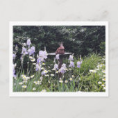 Romantischer Froschprinz und Blume Postkarte (Vorderseite)