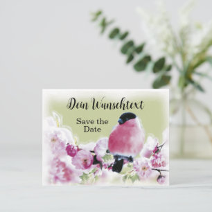 Romantischer Gimpel auf Rosa Kirschblüten Postkarte