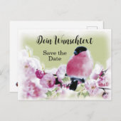 Romantischer Gimpel auf Rosa Kirschblüten Postkarte (Vorne/Hinten)
