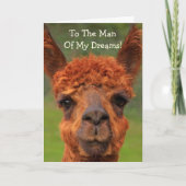 Romantischer Lama "Der Mensch meiner Träume" Gebur Karte (Vorderseite)