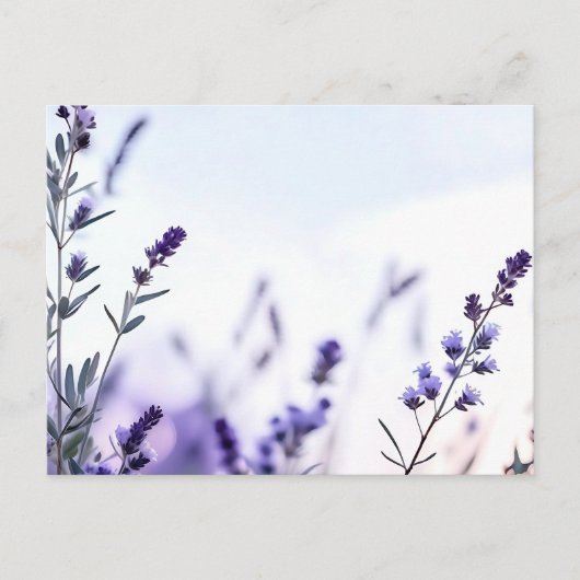 Romantischer Lavendel Watercolor Postkarte (Vorderseite)