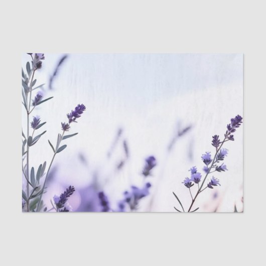Romantischer Lavendel Watercolor Seidenpapier (Vorderseite)