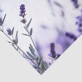 Romantischer Lavendel Watercolor Seidenpapier (Ausschnitt)