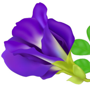 Romantischer lila Blumen Save-the-Date-Magnet  Magnet