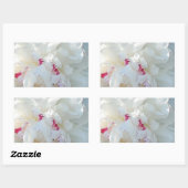 Romantischer Peony Rectangle Sticker (Blatt)