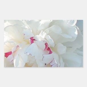 Romantischer Peony Rectangle Sticker