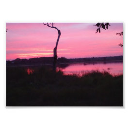 Romantischer rosa Himmel Fotodruck