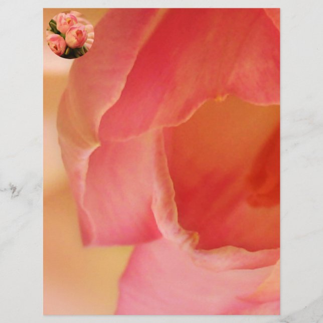 Romantischer Rosa Schmetterling Tulip (Vorderseite)