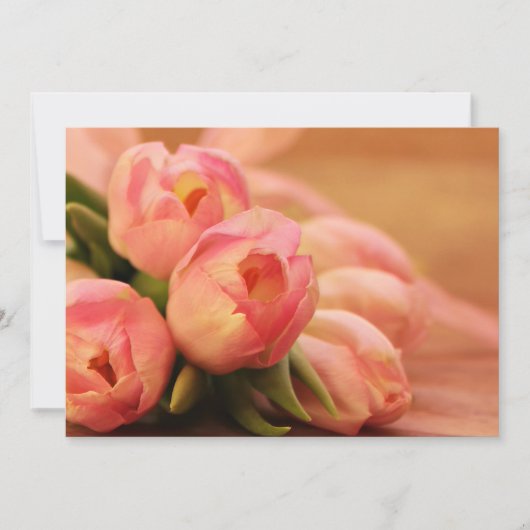 Romantischer Rosa Schmetterling Tulip (Vorderseite)