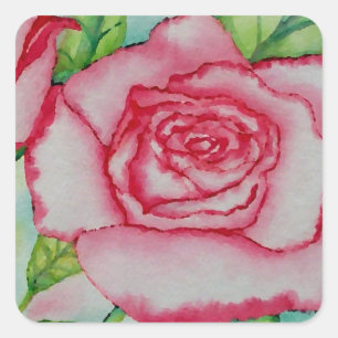 Romantischer rosa Sommer-RoseWatercolor Quadratischer Aufkleber