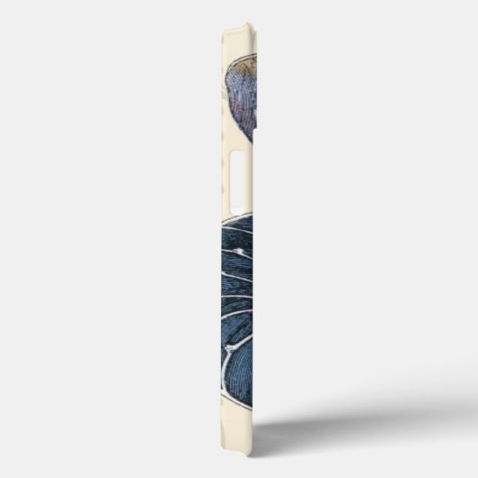 Romantischer Seashell Case-Mate iPhone Hülle (Rückseite / Rechts)