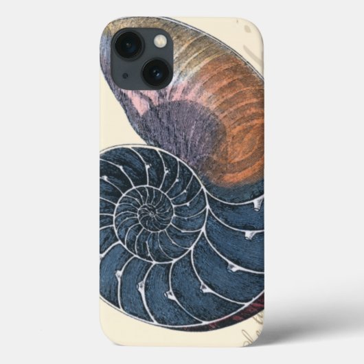 Romantischer Seashell Case-Mate iPhone Hülle (Rückseite)