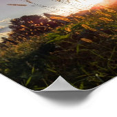 Romantischer Sonnenuntergang auf den Feldern (Graz Poster (Ecke)