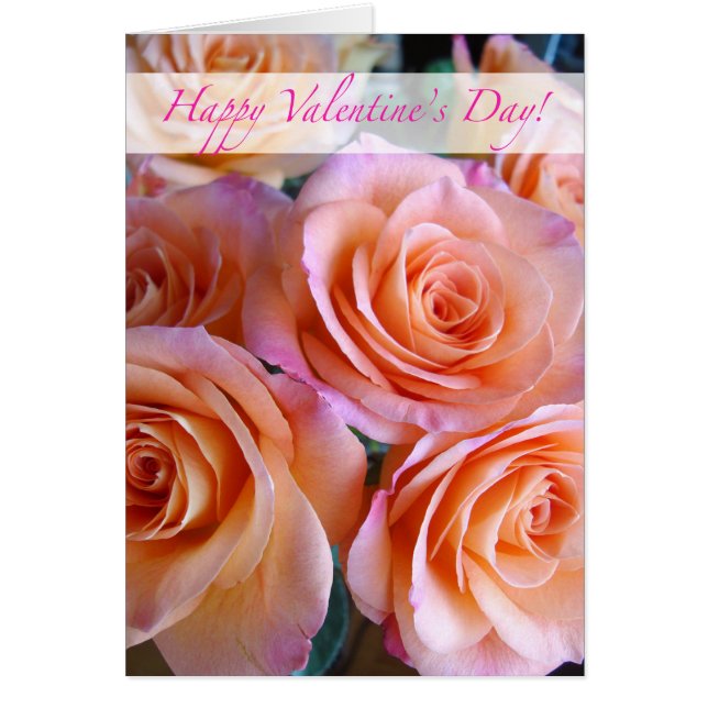 Romantischer Valentinstag, Pink Peach Rose (Vorne)