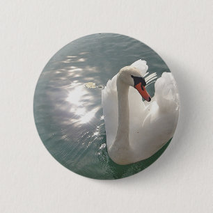 Romantischer weisser Schwan Button