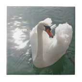 Romantischer weißer Schwan Fliese (Vorderseite)