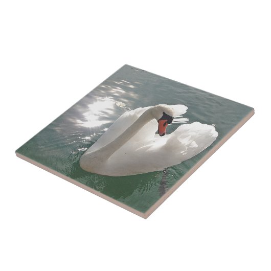 Romantischer weißer Schwan Fliese (Seite)