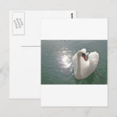 Romantischer weisser Schwan Postkarte (Vorne/Hinten)