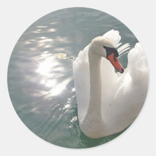 Romantischer weisser Schwan Runder Aufkleber