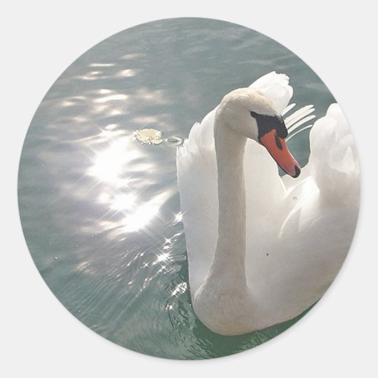 Romantischer weisser Schwan Runder Aufkleber (Vorderseite)