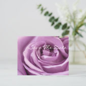 Romantisches Brautparty lila Rose Ankündigungspostkarte (Stehend Vorderseite)