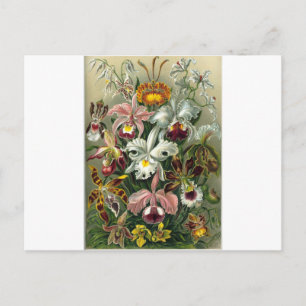 romantisches Date Blüten RSVP farbenfroh chic Postkarte