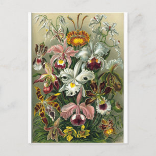 romantisches Date Blüten RSVP farbenfroh chic Postkarte