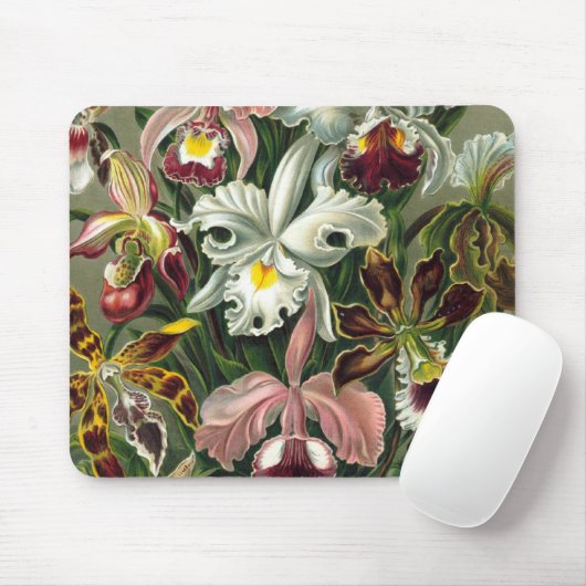 romantisches Datum blüht uAwg bunter Chic Mousepad (Mit Mouse)