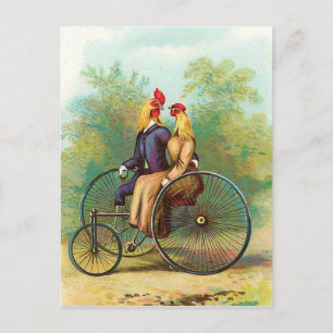 Romantisches Fahrradrendezvous von Hähnen Postkarte